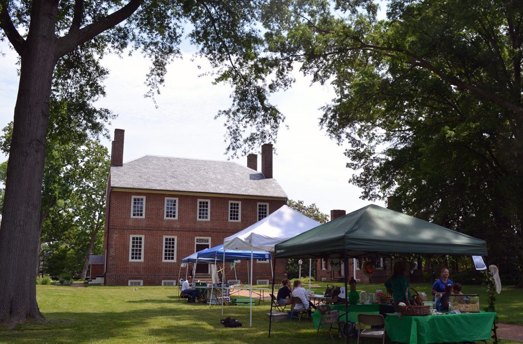 Photos: Our Urban Nature at Historic Kenmore