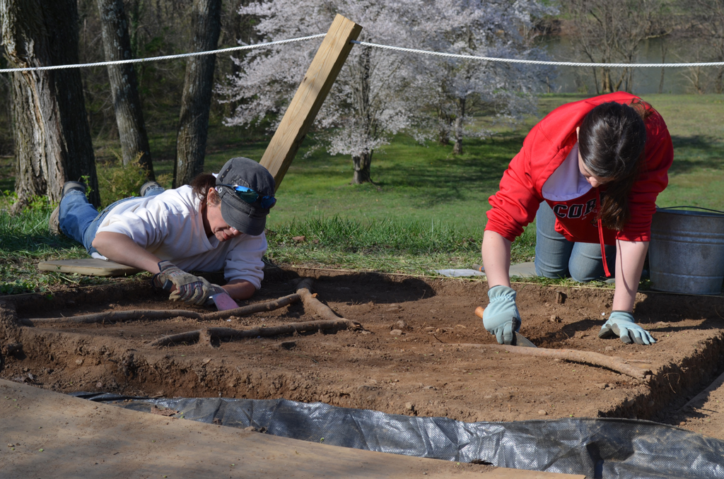 Dig Site Opens (15)