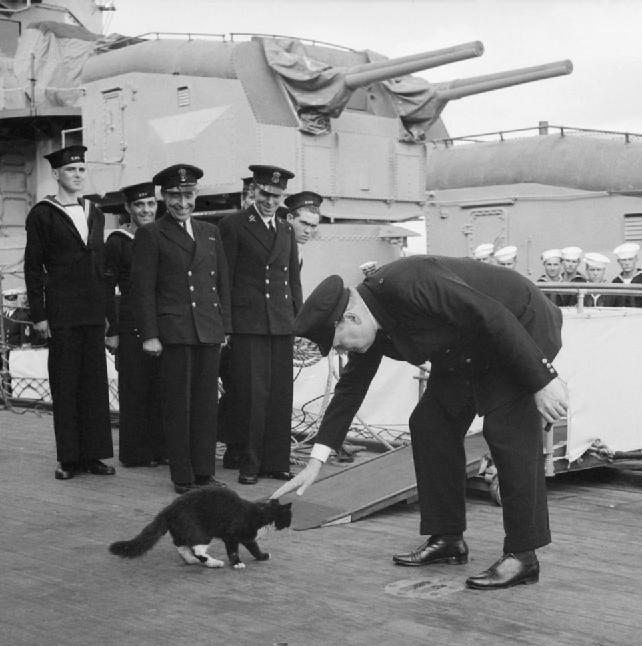 Winston and Blackie