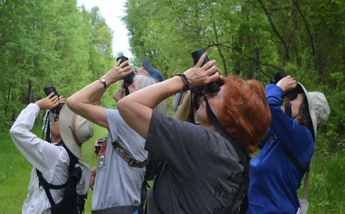 Ferry Farm’s Bird Life: An Update