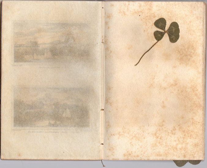 A Lucky Diary Discovery