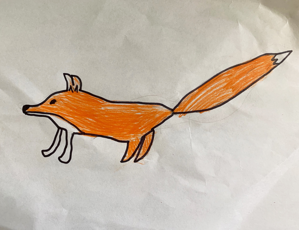 fox drawing