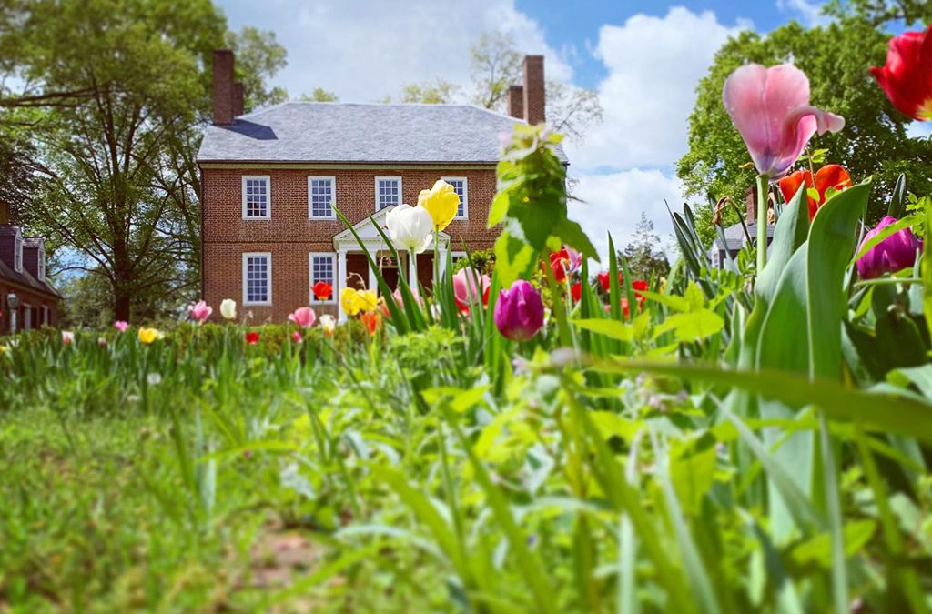 The Gardens of Historic Kenmore