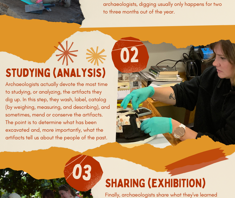 The Archaeological Process [Infographic]