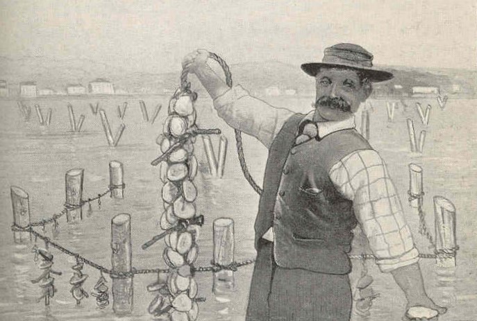 Oyster Ice Cream: The Enigma