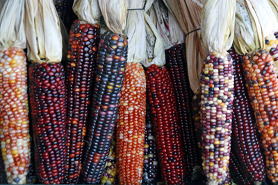 Corncrib: A Building as Corny as it Gets