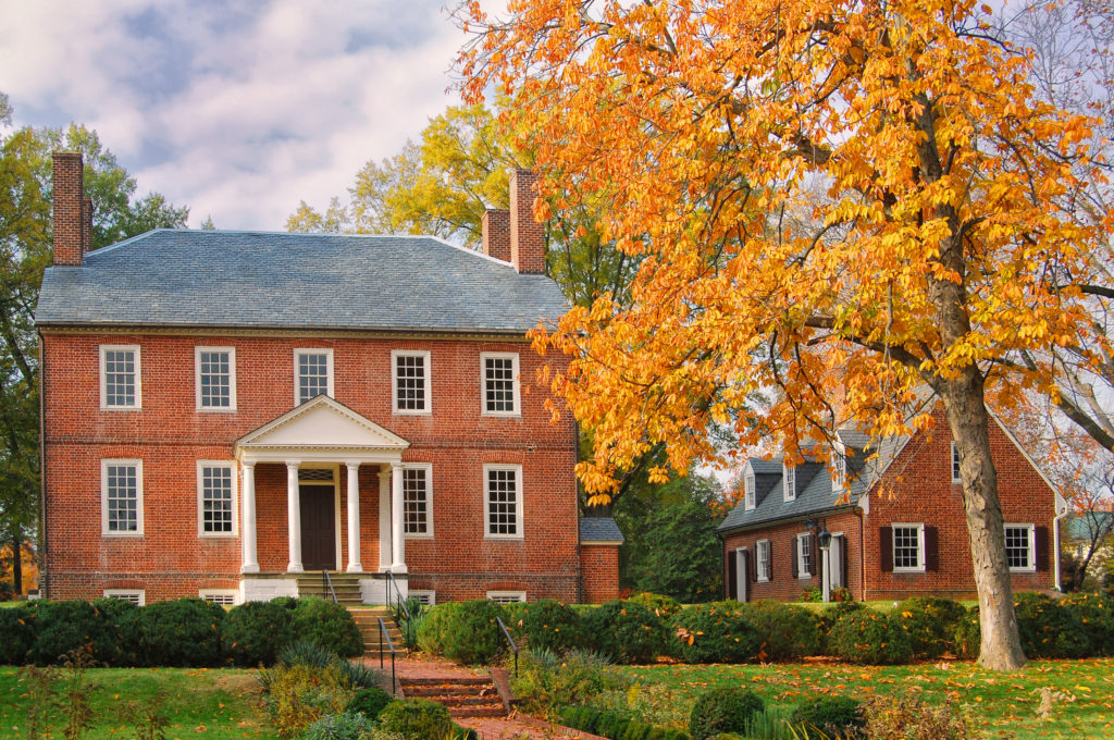 large tree with orange leaves in the fall next to the main house of Historic Kenmore