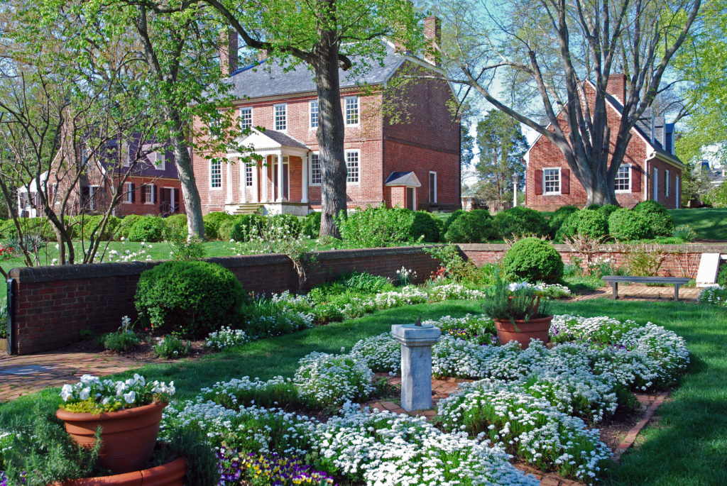 white flowers blooming in the spring in the gardens at Kenmore Plantation